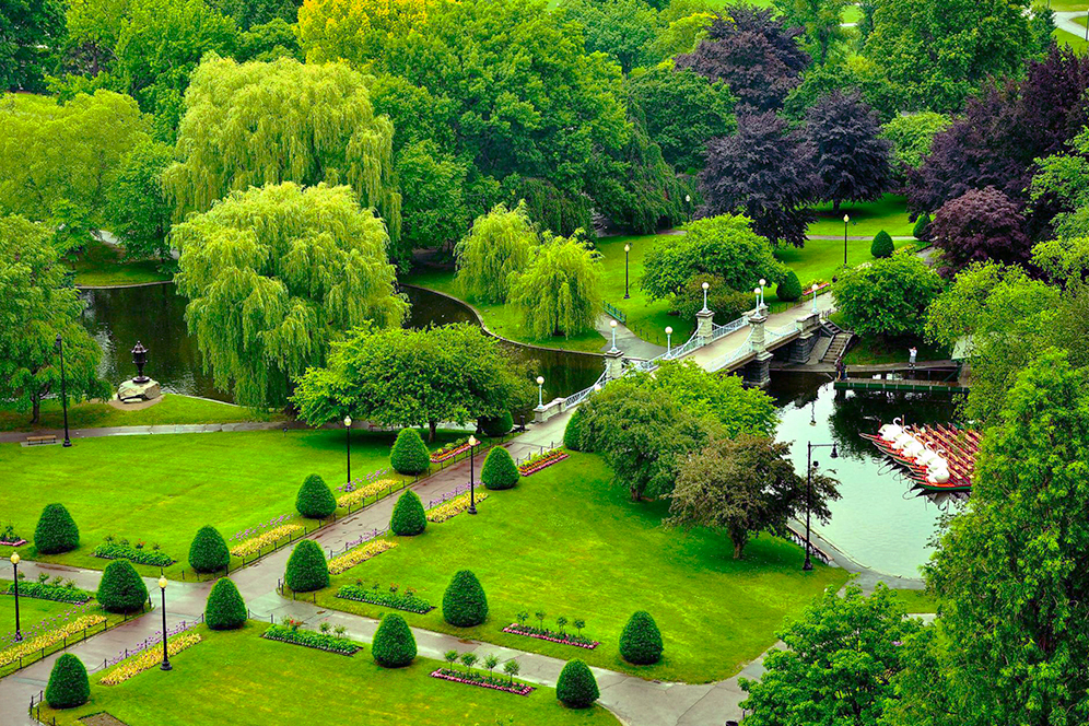 boston public garden