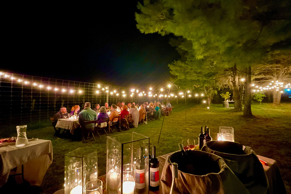 Wine Tours by Walsh Family Wine: Premium Wines, Romantic Friday Dinners, and a Winemaker Incubator